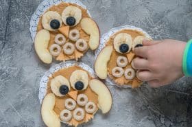 Owl Rice Cakes