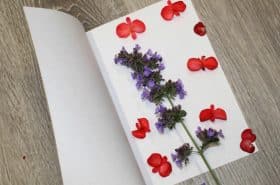 Flowers on printer paper